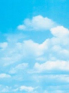 Meet your Posher, Olga